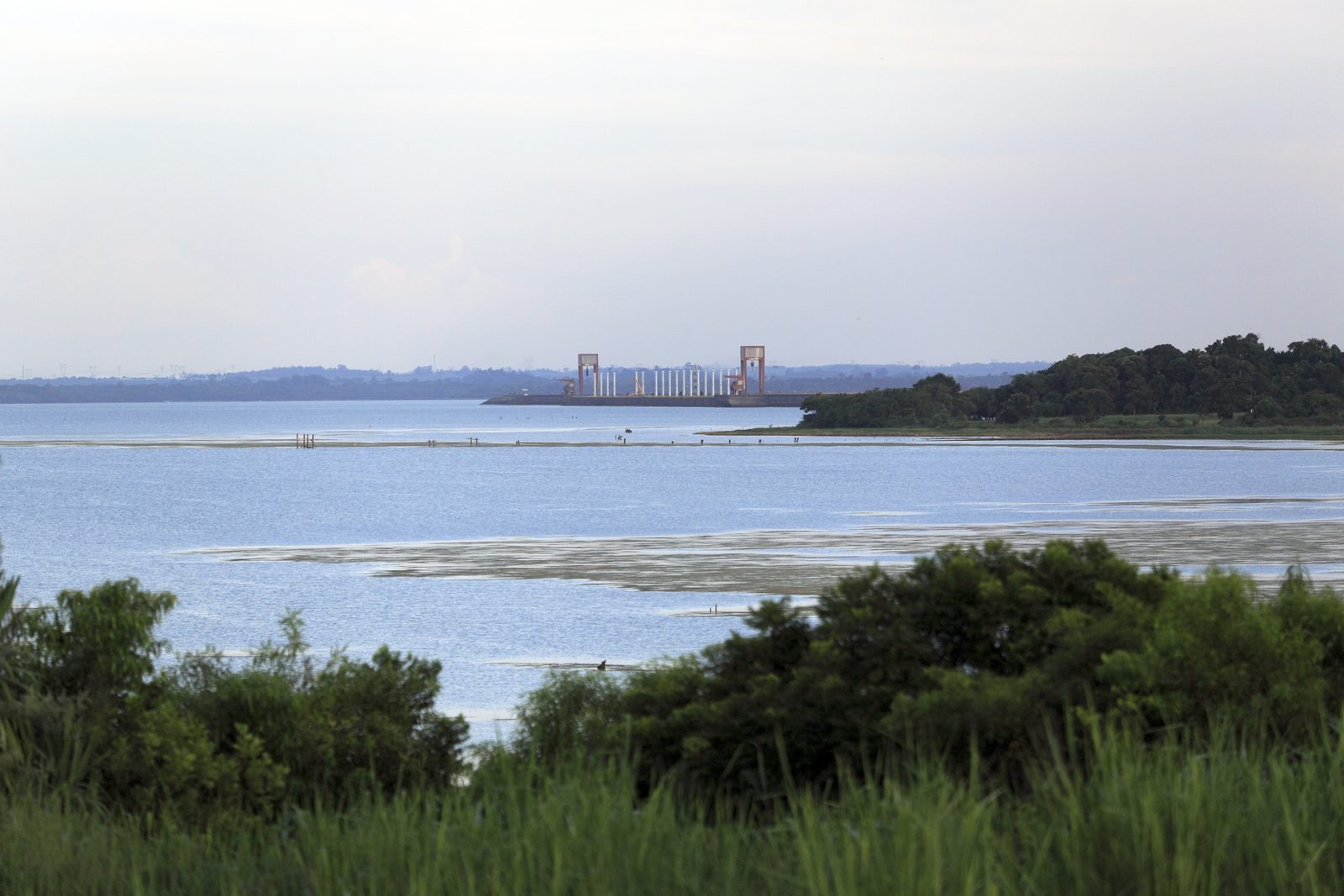 The Itaipu reservoir seen from the shore, with vegetation in the foreground and parts of the plant in the background