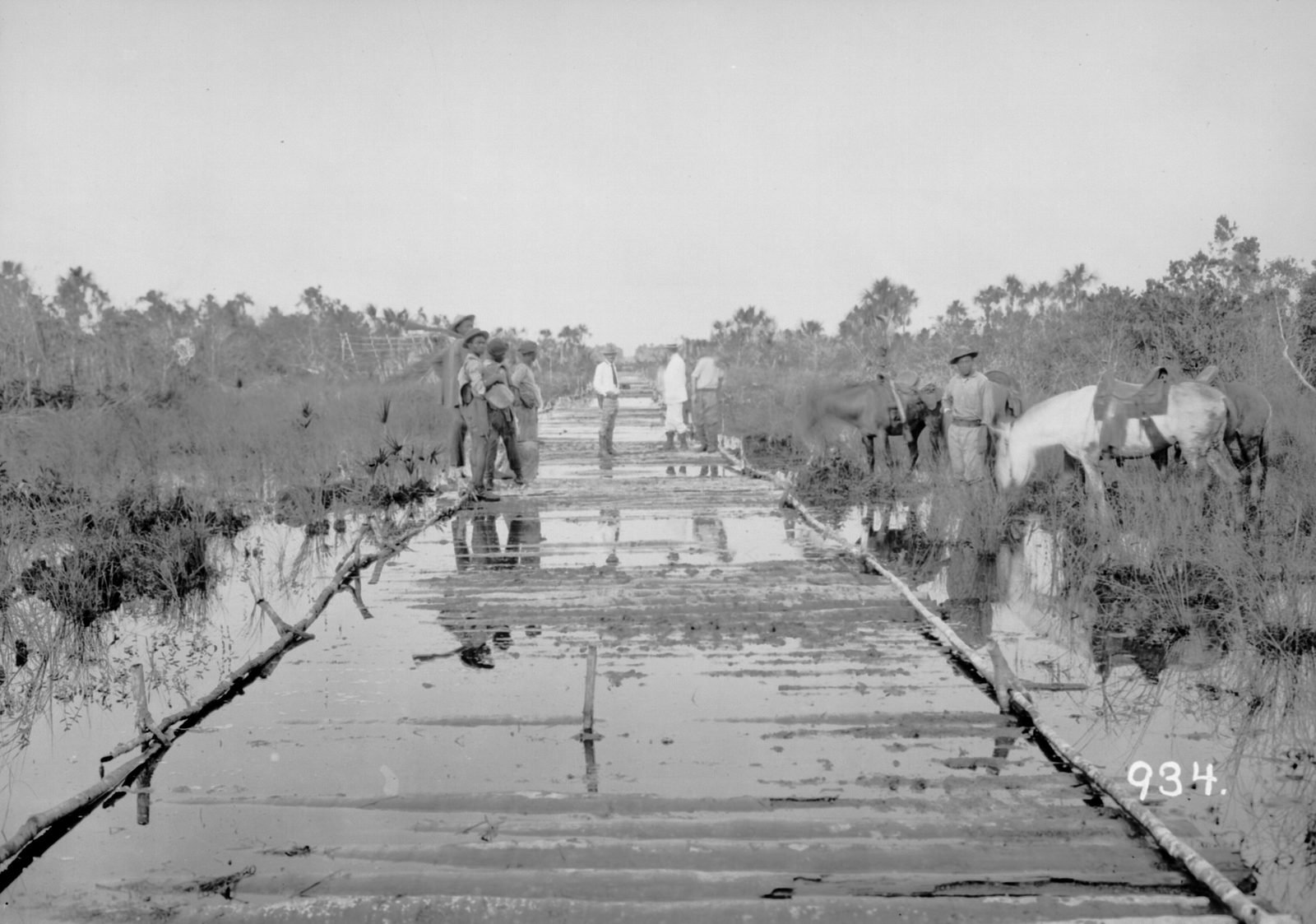Straight track across a flooded swamp, with palm trunks under the line, men and horses in the background and low forest on both sides